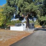 37824 Old Highway 80, Live Oak Springs, Boulevard,  CA 91905
