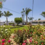 1425 E. Madison Ave, El Capitan, El Cajon,  CA 92021