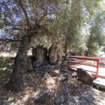 26835 Old Highway 80, Heavenly Oaks, Guatay,  CA 91931