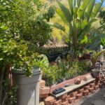 1815 Sweetwater Rd., Terrace Estates, Spring Valley,  CA 91977