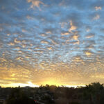 2003 Bayview Heights Dr., Bayview, San Diego,  CA 92105
