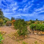 Royal View Gardens, El Cajon,  CA 92021