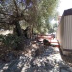 26835 Old Highway 80, Heavenly Oaks, Guatay,  CA 91931